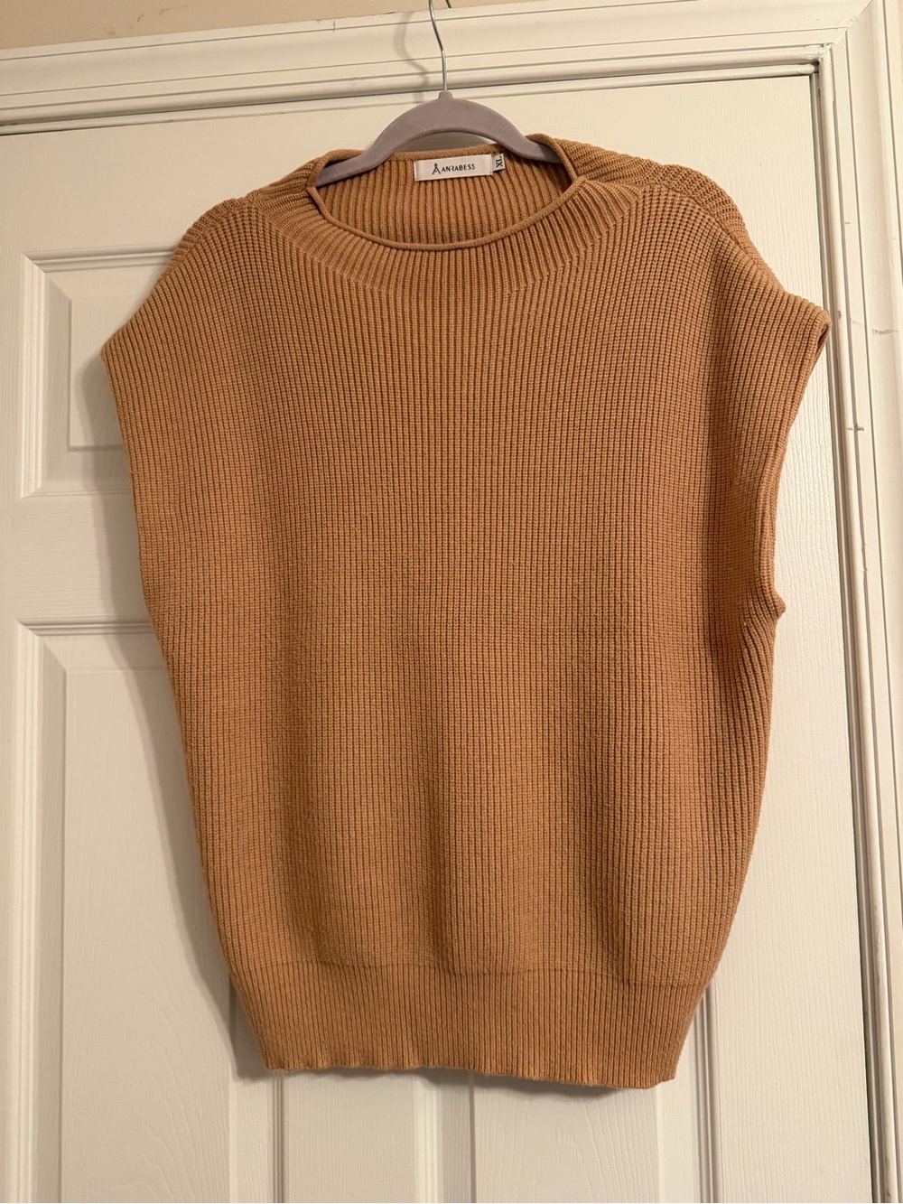 Aritzia Sleeveless Ribbed Knit Crewneck Vest in Camel